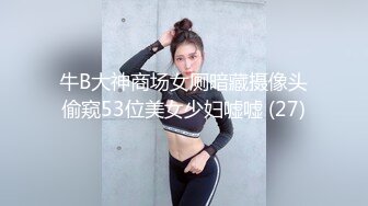 牛B大神商场女厕暗藏摄像头偷窥53位美女少妇嘘嘘 (27)