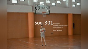 soe-301