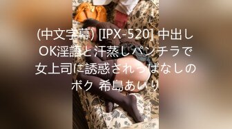 (中文字幕) [IPX-520] 中出しOK淫語と汗蒸しパンチラで女上司に誘惑されっぱなしのボク 希島あいり