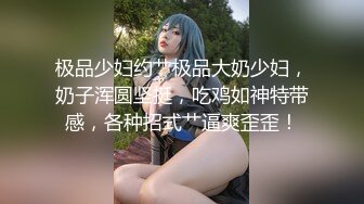 极品少妇约艹极品大奶少妇，奶子浑圆坚挺，吃鸡如神特带感，各种招式艹逼爽歪歪！