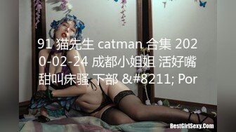 91 猫先生 catman 合集 2020-02-24 成都小姐姐 活好嘴甜叫床骚 下部 &#8211; Por