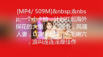 [MP4/ 509M]&nbsp;&nbsp;一个小卡拉，计划扛起海外探花的大旗，上门服务，风骚人妻，D罩杯大胸，无毛嫩穴，浪叫连连淫靡佳作