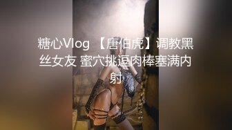 糖心Vlog 【唐伯虎】调教黑丝女友 蜜穴挑逗肉棒塞满内射