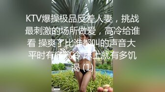 KTV爆操极品反差人妻，挑战最刺激的场所做爱，高冷给谁看 操爽了比谁都叫的声音大 平时有多高冷 床上就有多饥渴 (1)