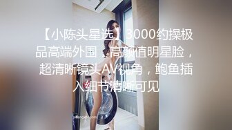 【小陈头星选】3000约操极品高端外围，高颜值明星脸，超清晰镜头AV视角，鲍鱼插入细节清晰可见