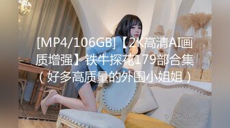 [MP4/106GB]【2K高清AI画质增强】铁牛探花179部合集（好多高质量的外围小姐姐）