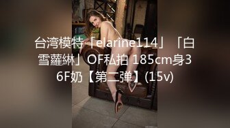 台湾模特「elarine114」「白雪蘿綝」OF私拍 185cm身36F奶【第二弹】(15v)