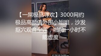 【一屌极品寻欢】3000网约极品高颜值外围小姐姐，沙发抠穴观音坐莲，啪啪一小时不能虚度