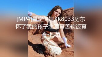 [MP4]星空传媒XK8033房东怀了我的孩子北漂真苦软饭真香-何苗