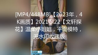 [MP4/448MB]【2023年，4K画质】2021.5.22【文轩探花】温柔小姐姐，平面模特，无水印收藏版