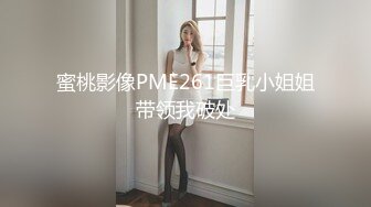 蜜桃影像PME261巨乳小姐姐带领我破处