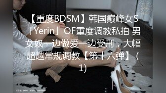 【重度BDSM】韩国巅峰女S「Yerin」OF重度调教私拍 男女奴一边做爱一边受刑，大幅超越常规调教【第十六弹】 (1)