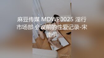 麻豆传媒 MDWP0025 淫行市场部 会议前的性爱记录-宋南伊