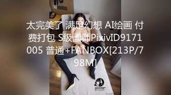 太完美了 满足幻想 AI绘画 付费打包 S级画师PixivID9171005 普通+FANBOX[213P/798M]