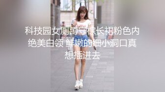 科技园女厕蹲守棕长裙粉色内绝美白领 鲜嫩的细小洞口真想插进去