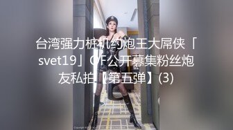 台湾强力桩机约炮王大屌侠「svet19」OF公开募集粉丝炮友私拍【第五弹】(3)