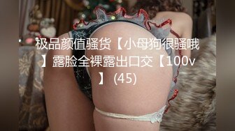 极品颜值骚货【小母狗很骚哦】露脸全裸露出口交【100v】 (45)