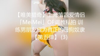 【唯美猎奇】上海第四爱情侣「MeiMei」OF调教私拍 训练男朋友成为真正的母狗奴隶【第五弹】 (3)