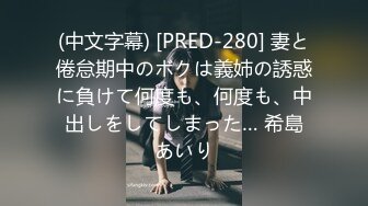 (中文字幕) [PRED-280] 妻と倦怠期中のボクは義姉の誘惑に負けて何度も、何度も、中出しをしてしまった… 希島あいり