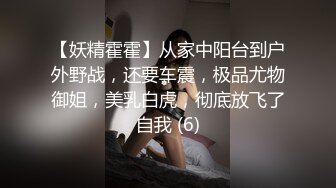 【妖精霍霍】从家中阳台到户外野战，还要车震，极品尤物御姐，美乳白虎，彻底放飞了自我 (6)