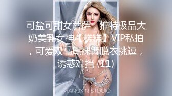 可盐可甜女菩萨，推特极品大奶美乳女神【糕糕】VIP私拍，可爱双马尾裸舞脱衣挑逗，诱惑难挡 (11)