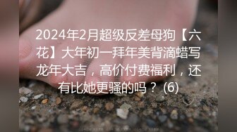 2024年2月超级反差母狗【六花】大年初一拜年美背滴蜡写龙年大吉，高价付费福利，还有比她更骚的吗？ (6)