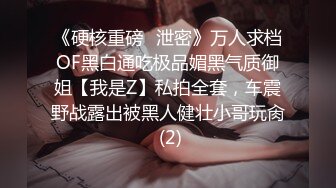 《硬核重磅✅泄密》万人求档OF黑白通吃极品媚黑气质御姐【我是Z】私拍全套，车震野战露出被黑人健壮小哥玩肏 (2)