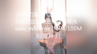 [2DF2]富二代酒店约炮大奶子极品女友私密视频被曝光 - soav_evMerge [MP4/100MB][BT种子]