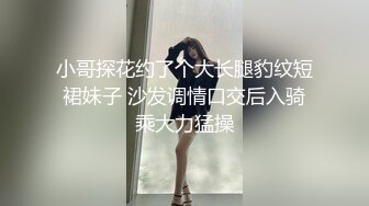 小哥探花约了个大长腿豹纹短裙妹子 沙发调情口交后入骑乘大力猛操