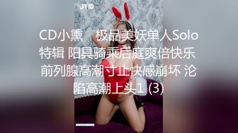 CD小熏✨ 极品美妖单人Solo特辑 阳具骑乘后庭爽倍快乐 前列腺高潮寸止快感崩坏 沦陷高潮上头1 (3)