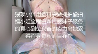 猥琐小胖用塑料袋做掩护偸拍嫖小姐全程白嫩性感妹子服务的真心到位兴奋的卖力肏她累得浑身是汗面目狰狞