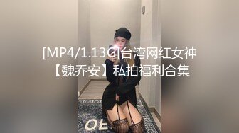 [MP4/1.13G]台湾网红女神【魏乔安】私拍福利合集