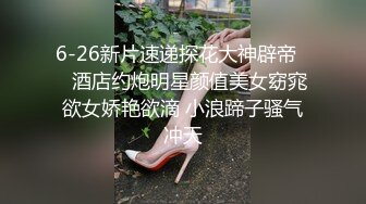 6-26新片速递探花大神辟帝❤️酒店约炮明星颜值美女窈窕欲女娇艳欲滴 小浪蹄子骚气冲天