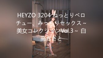 HEYZO 3204 ねっとりベロチュー、みっちりセックス～美女コレクションVol.3～ 白高ちさと