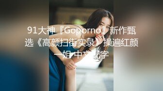 91大神『Goporno』新作甄选《高颜扫街实录》操遍红颜一姐 中文配字